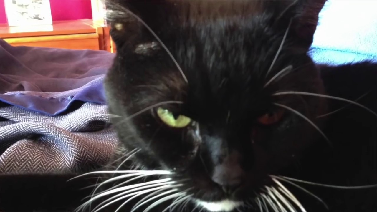 Slide Guitar Lesson In Open D. Messiahsez Shows How To Play Blues. Bo